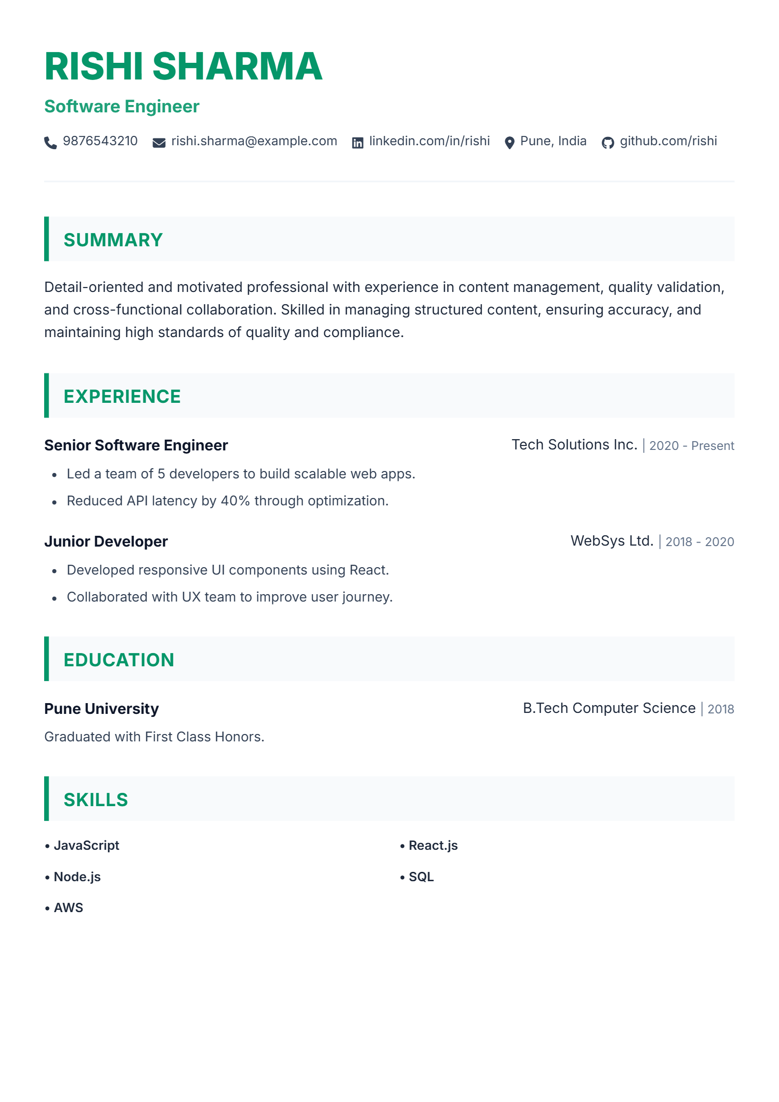 Professional Border ATS resume template